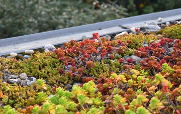 the cost of Gunton green roof installation