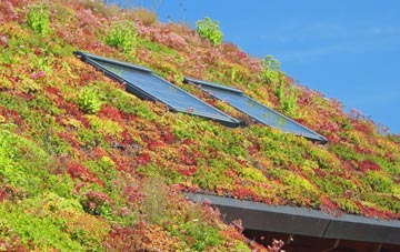 Gunton living roof systems