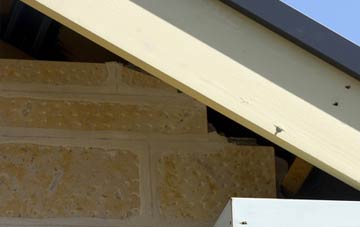 soffit repair Gunton